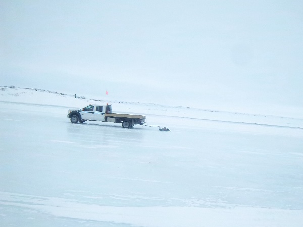 Ice thickness profiler is dragged across a frozen lake ensuring the proper thickness for truck safety.